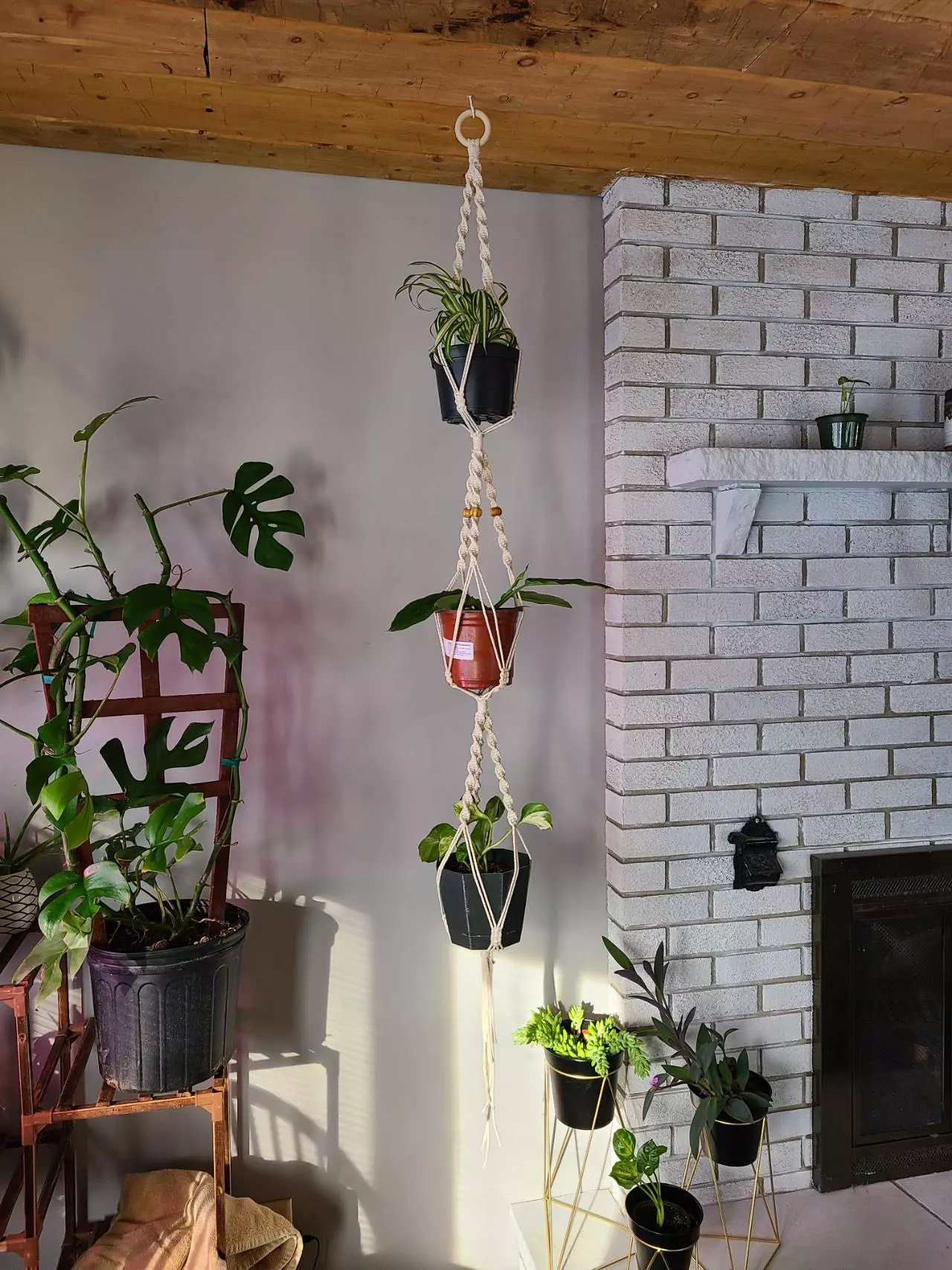 plant/3 Tier hanger-0