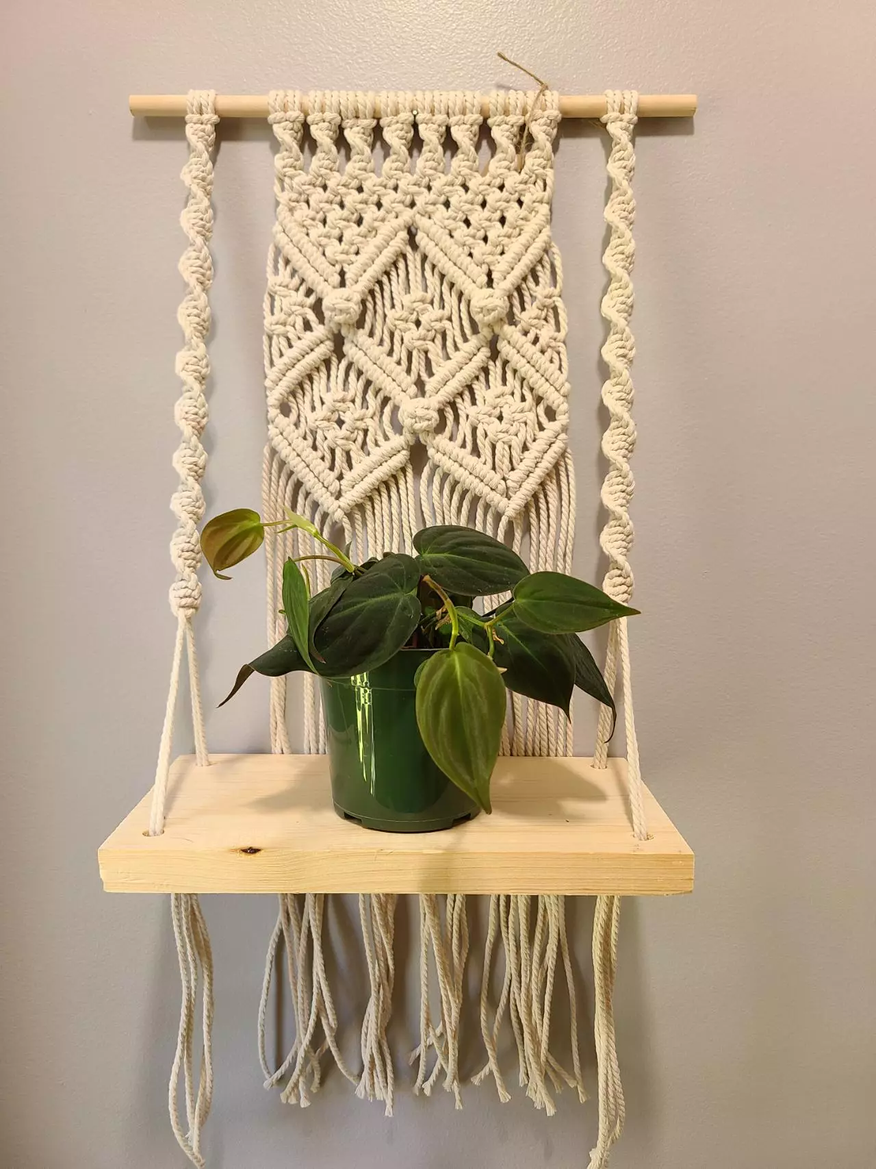 plant/Berry Knot X shelf-1