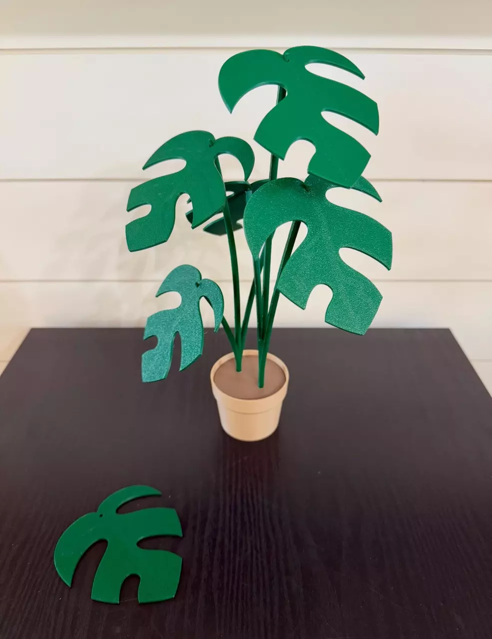 plant/Green Tetrasperma Coaster Set-1