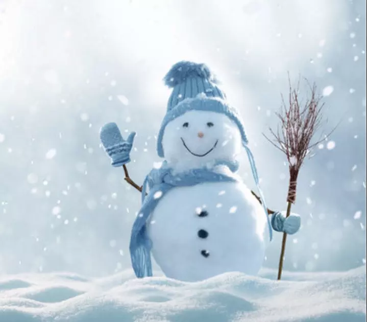 plant/Cold protection $10-0