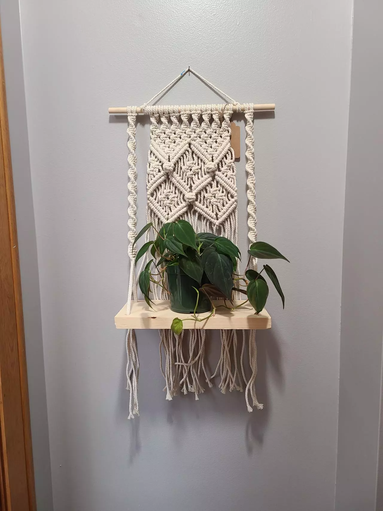 plant/Berry Knot X shelf-0