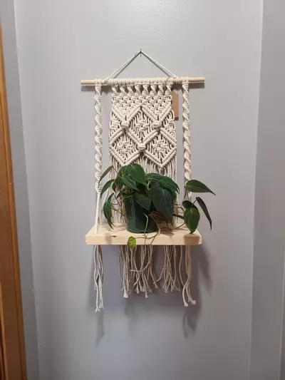 plant/Berry Knot X shelf-0-thumbnail