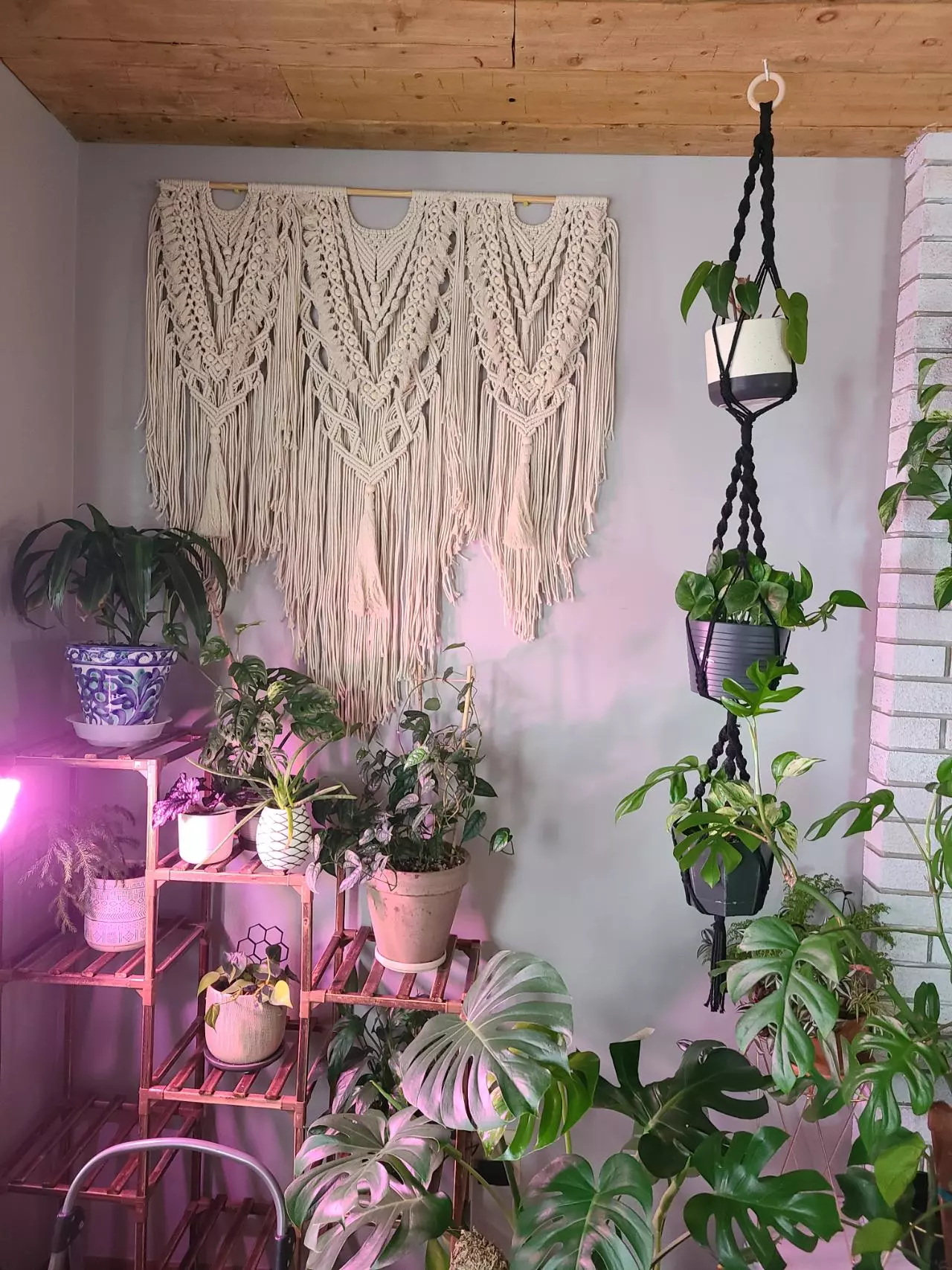 plant/3 Tier hanger-1