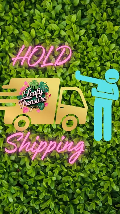 plant/Hold Shipping-1 Week-0-thumbnail