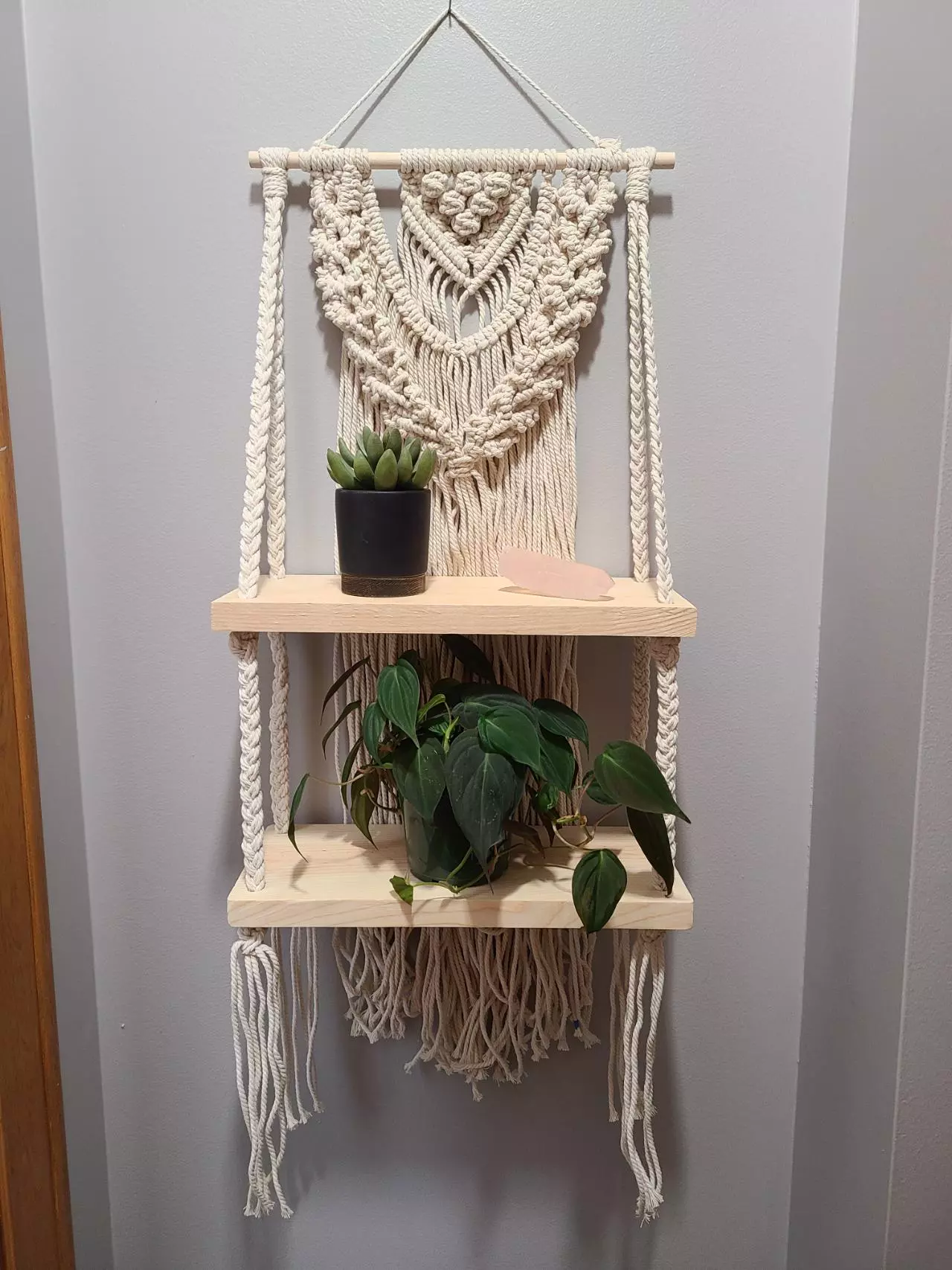 plant/Berry Braid double shelf-0