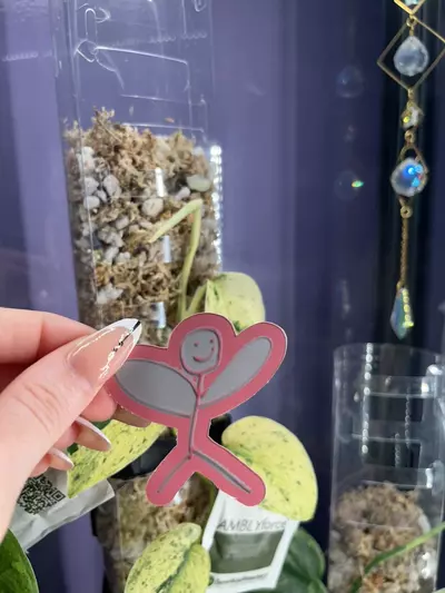 plant/and she was a ‘Fairy’ - Sticker-0-thumbnail