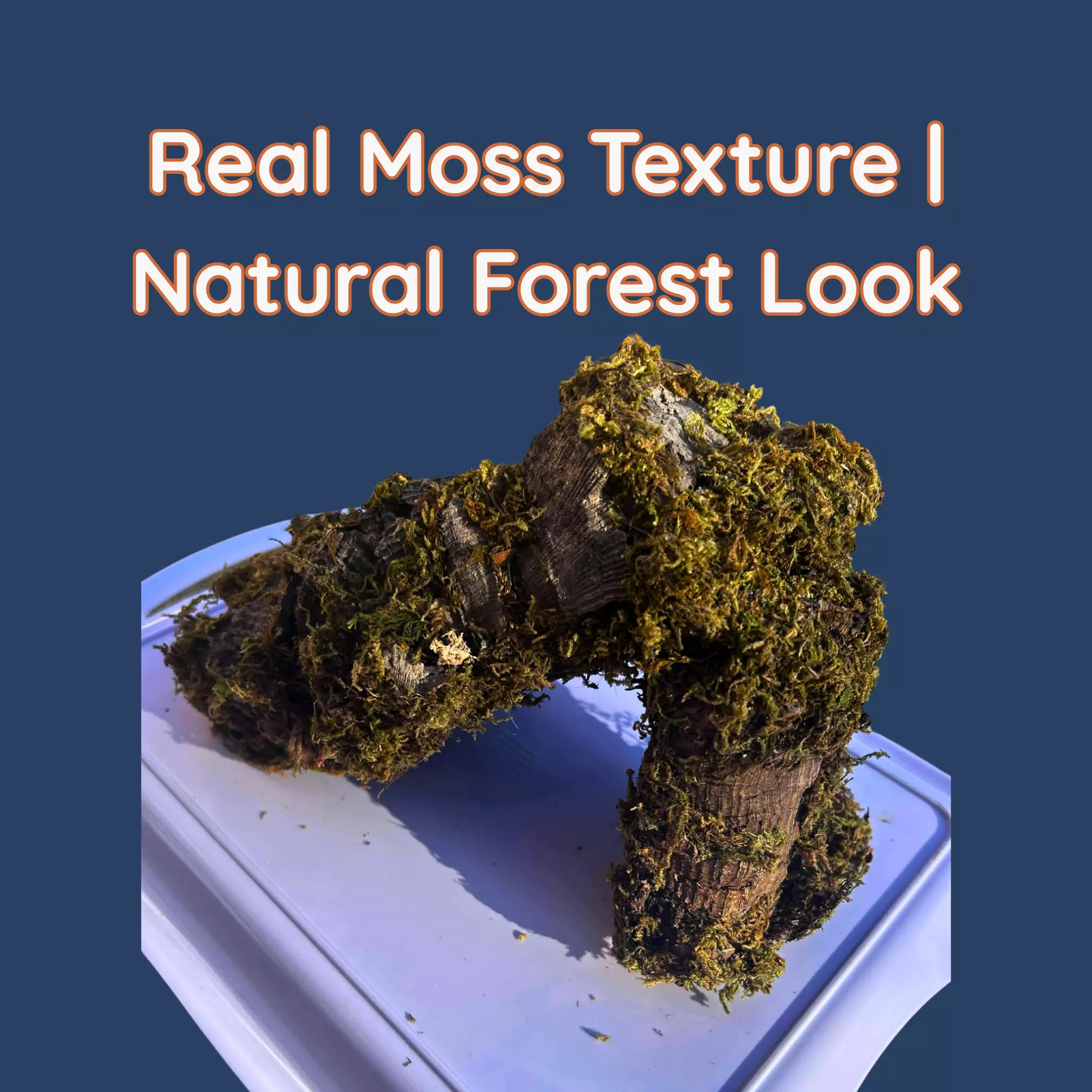 plant/Natural Mossy Cork Bark Hide for Reptile Terrariums-0