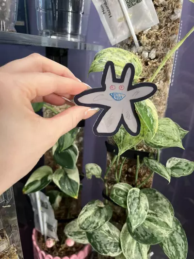 plant/‘Gremlin’ - Sticker-0-thumbnail