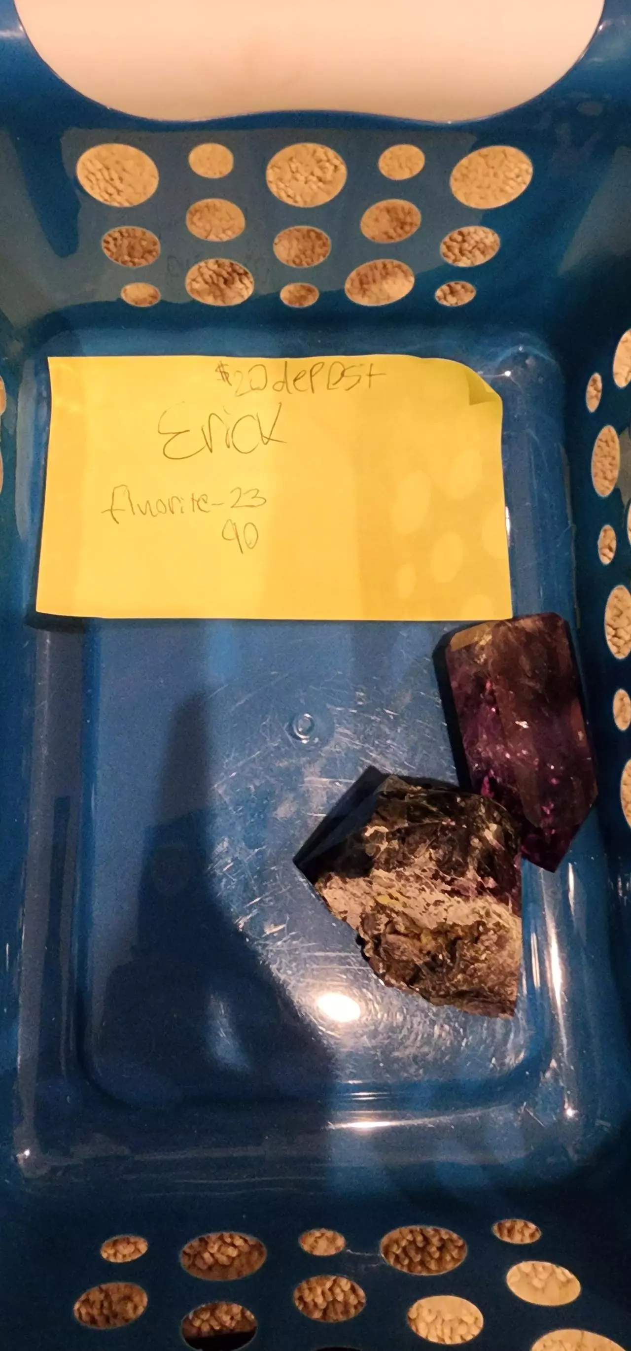 plant/Listing for Erick total $113 minus $20 deposit-0