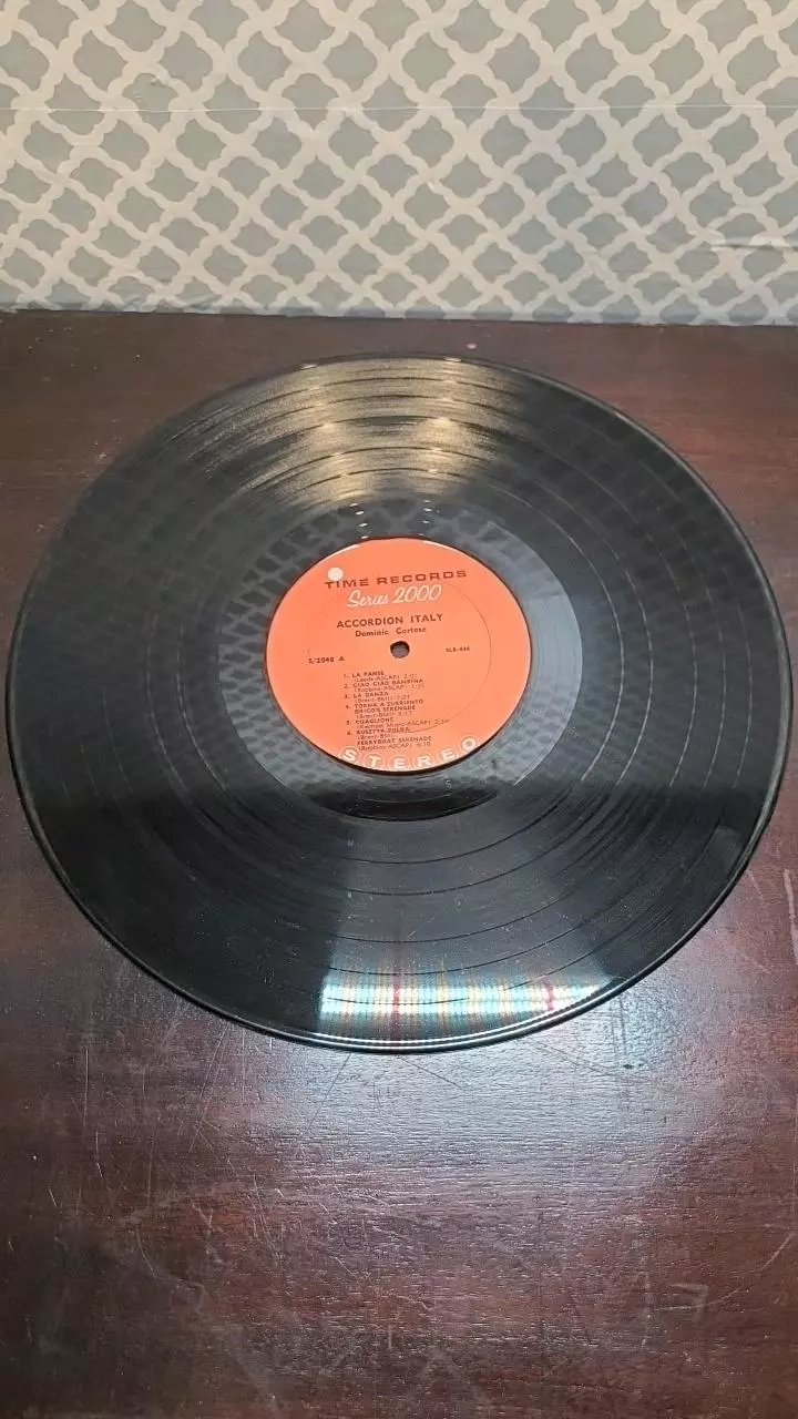 plant/Accordion Italy Record-2