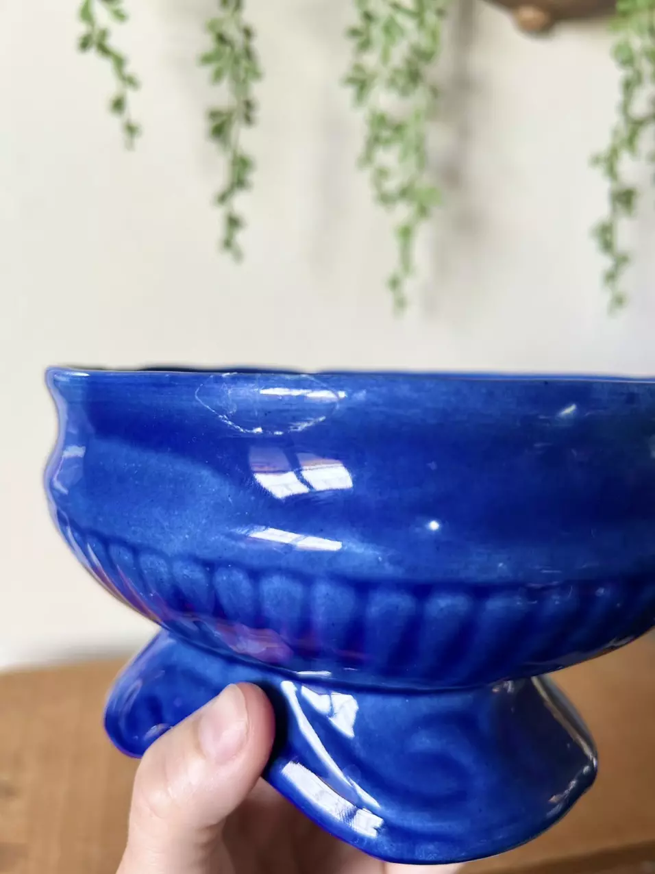 plant/Cobalt blue ceramic planter-4