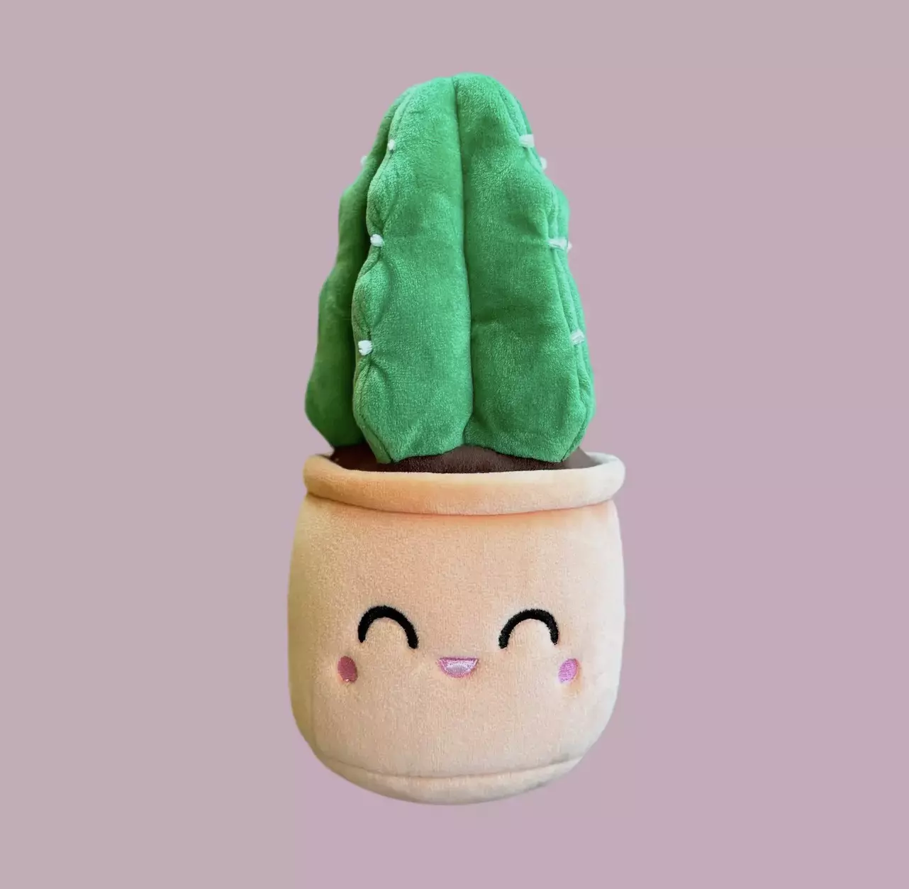 plant/Blushiez ‘Cuddly Cactus’ Plushie-0