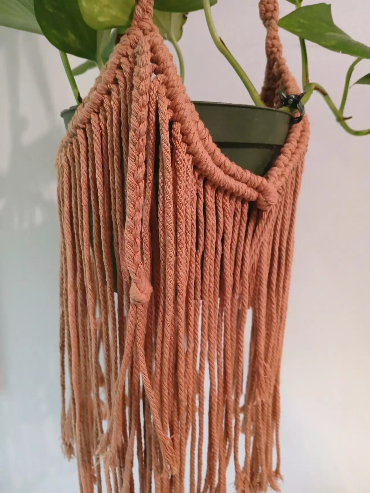 plant/Boho Plant Hanger-1