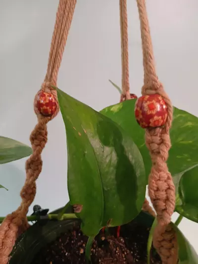 plant/Boho Plant Hanger-2-thumbnail