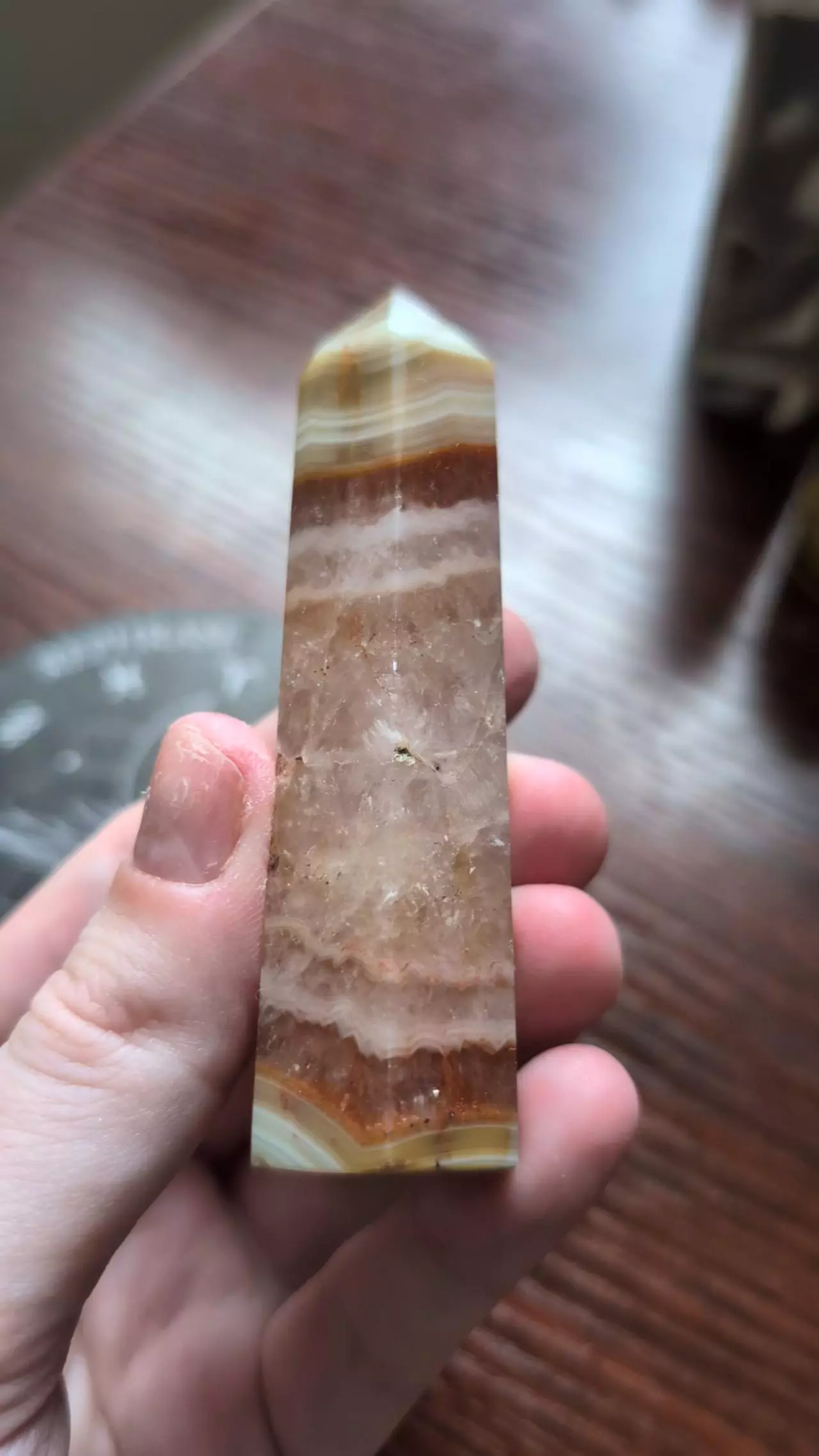 plant/Carnelian with banded agate-1