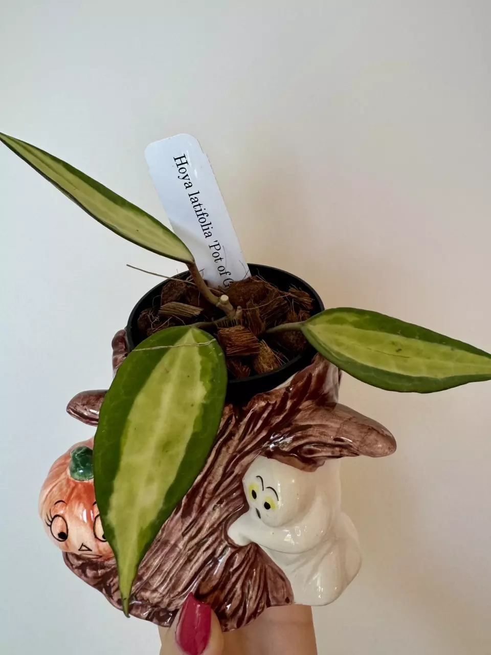 plant/Vintage Halloween Ceramic Planter-1