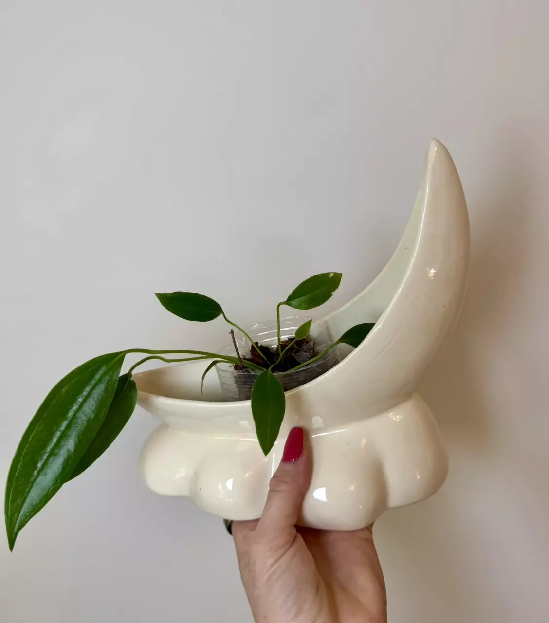 plant/Vintage Ceramic Crescent Planter-0