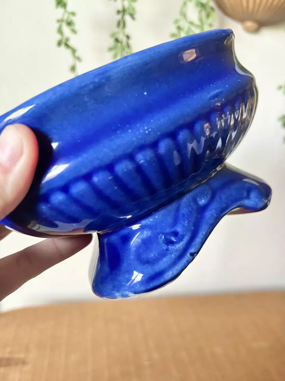 plant/Cobalt blue ceramic planter-1