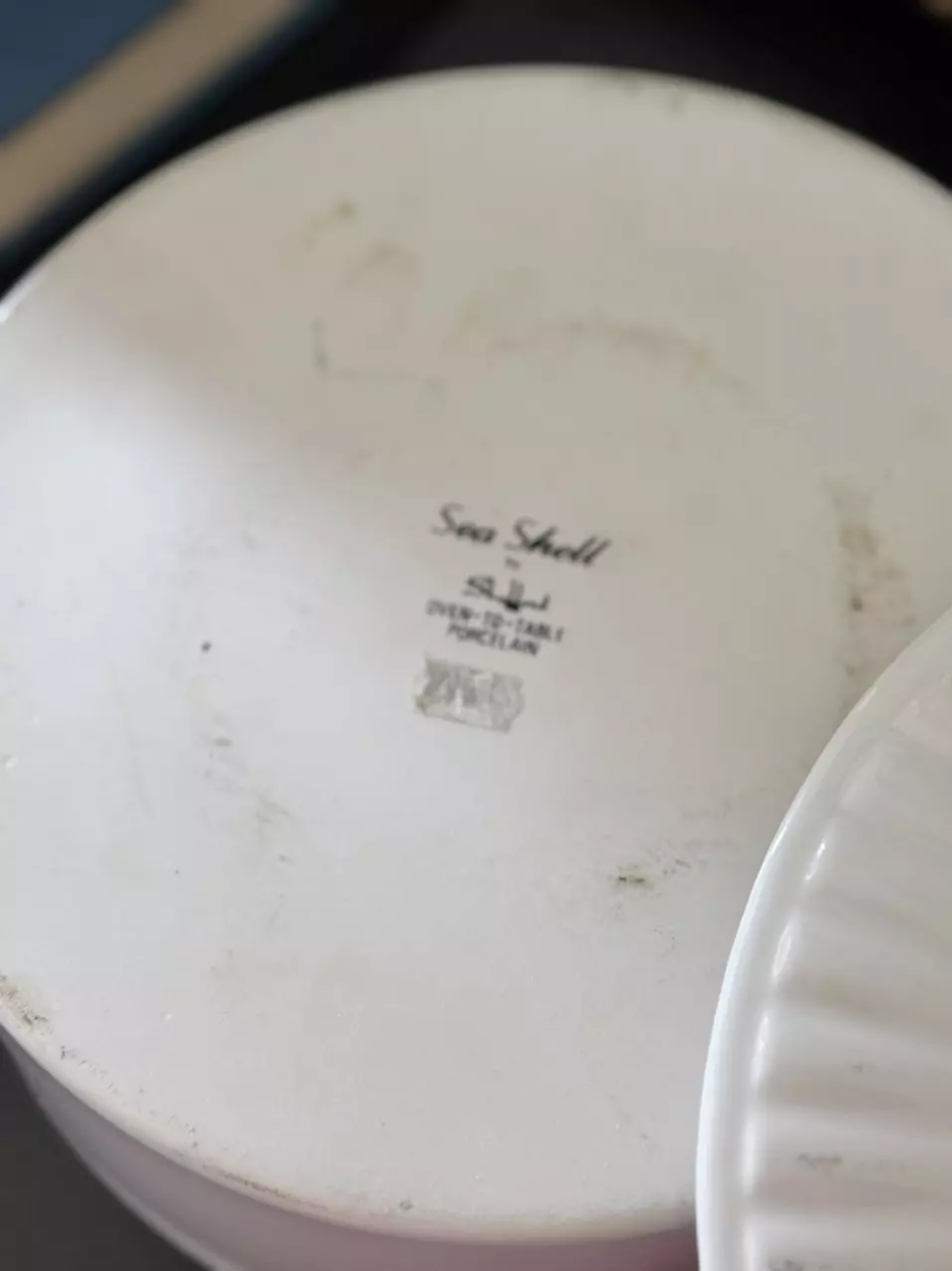 plant/Seashell Motif Covered Porcelain Pot-4