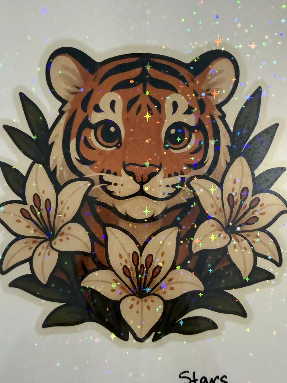 free_shipping/Star Holo Laminate | FOR STICKERS & MAGNETS-0