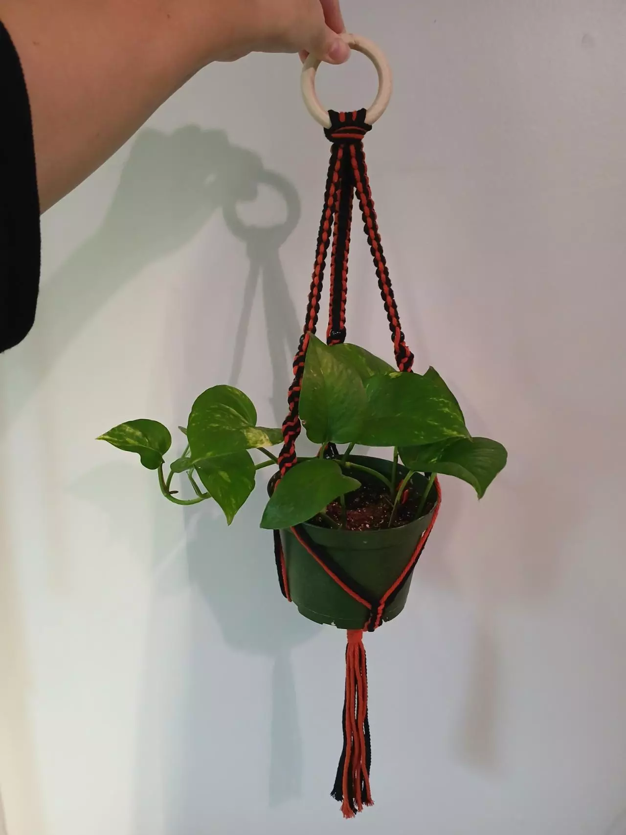 plant/Macrame Halloween Plant Hanger-0