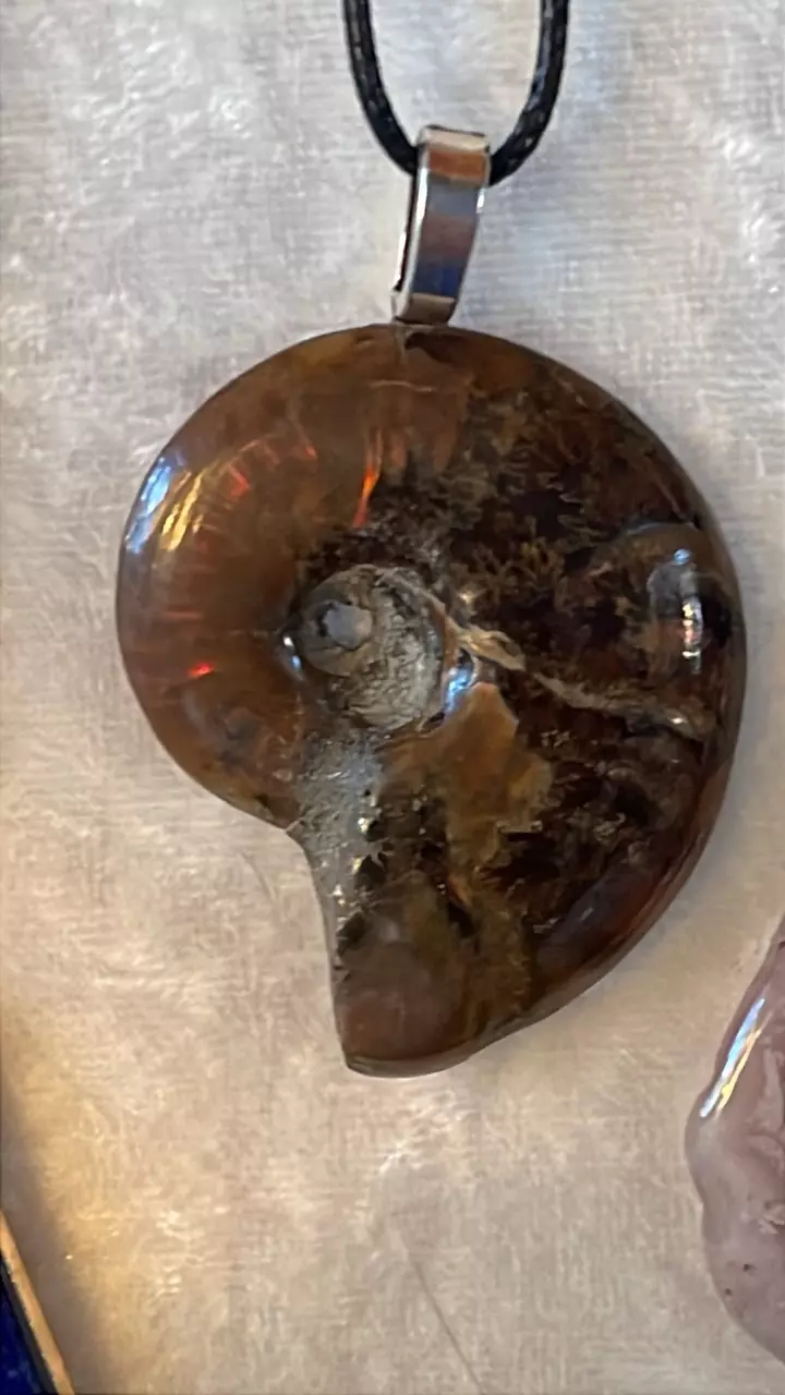 plant/Ammonite Pendants for the fossil lovers-0
