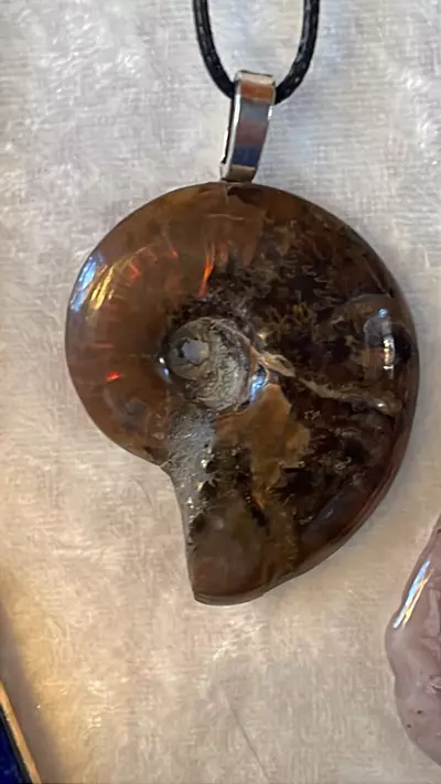 plant/Ammonite Pendants for the fossil lovers-0-thumbnail