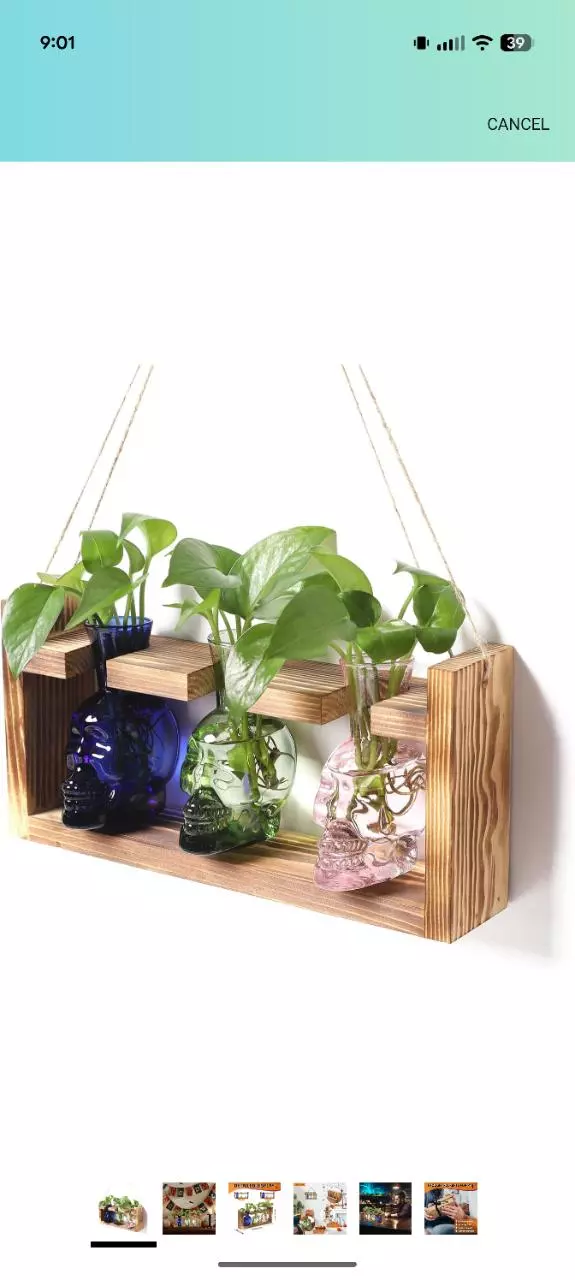 plant/Skeleton prop jars & stand-0