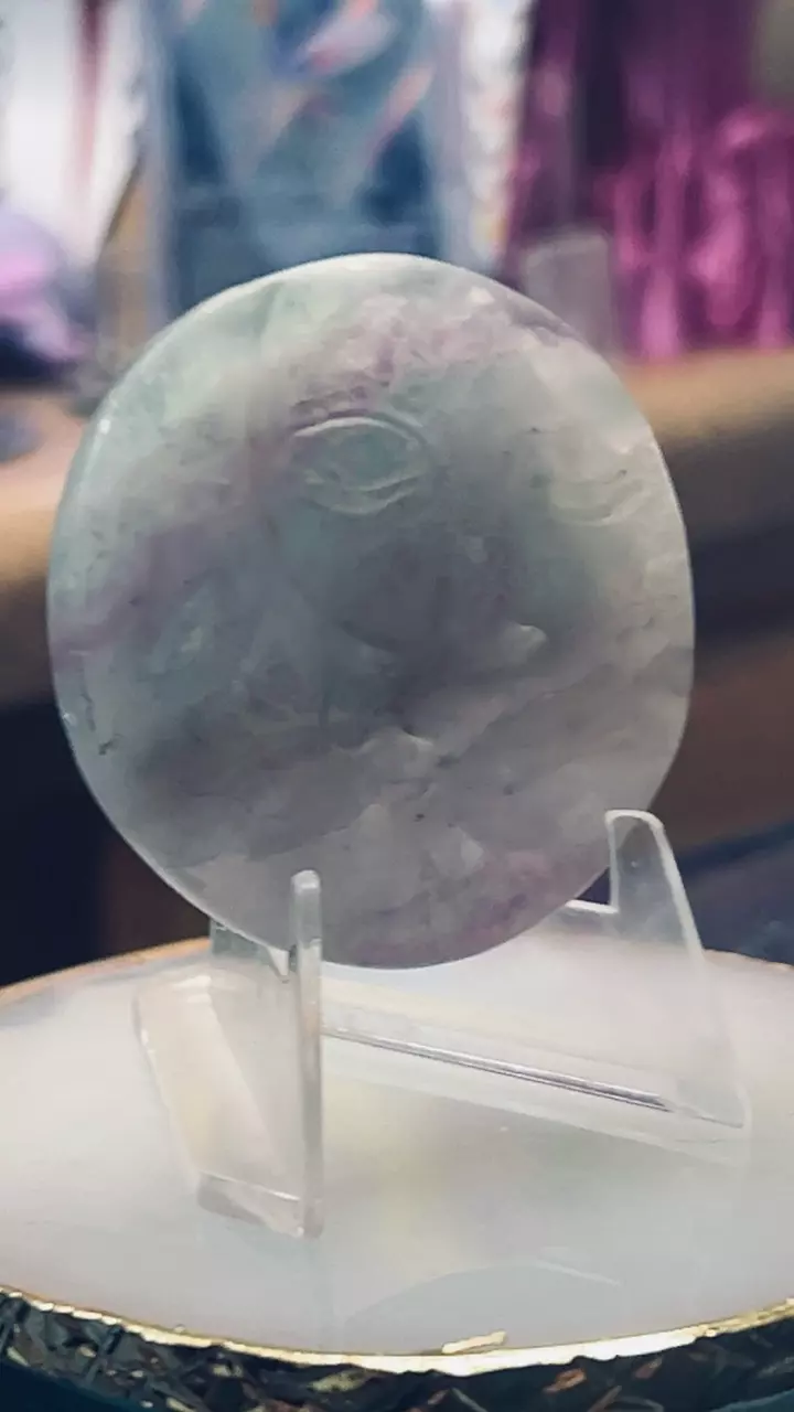 plant/Sun & Moon Rainbow Fluorite-0