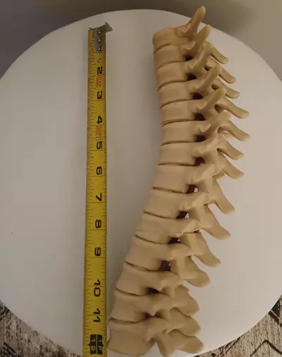 plant/Radiology/Halloween/Harry Potter Spine Candle Holder-5-thumbnail