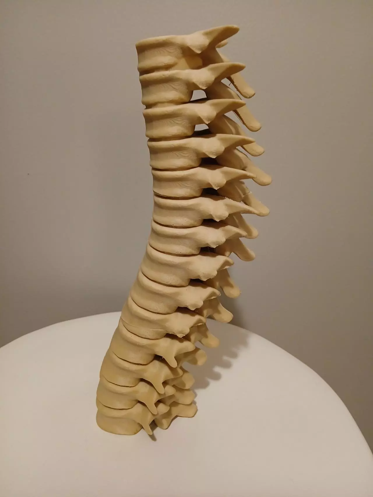 plant/Radiology/Halloween/Harry Potter Spine Candle Holder-0