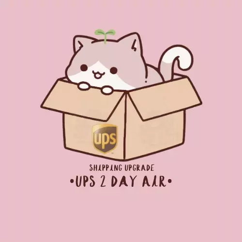 shipping_upgrade/✨ UPS 2 Day Air ~ shipping upgrade ✨-0