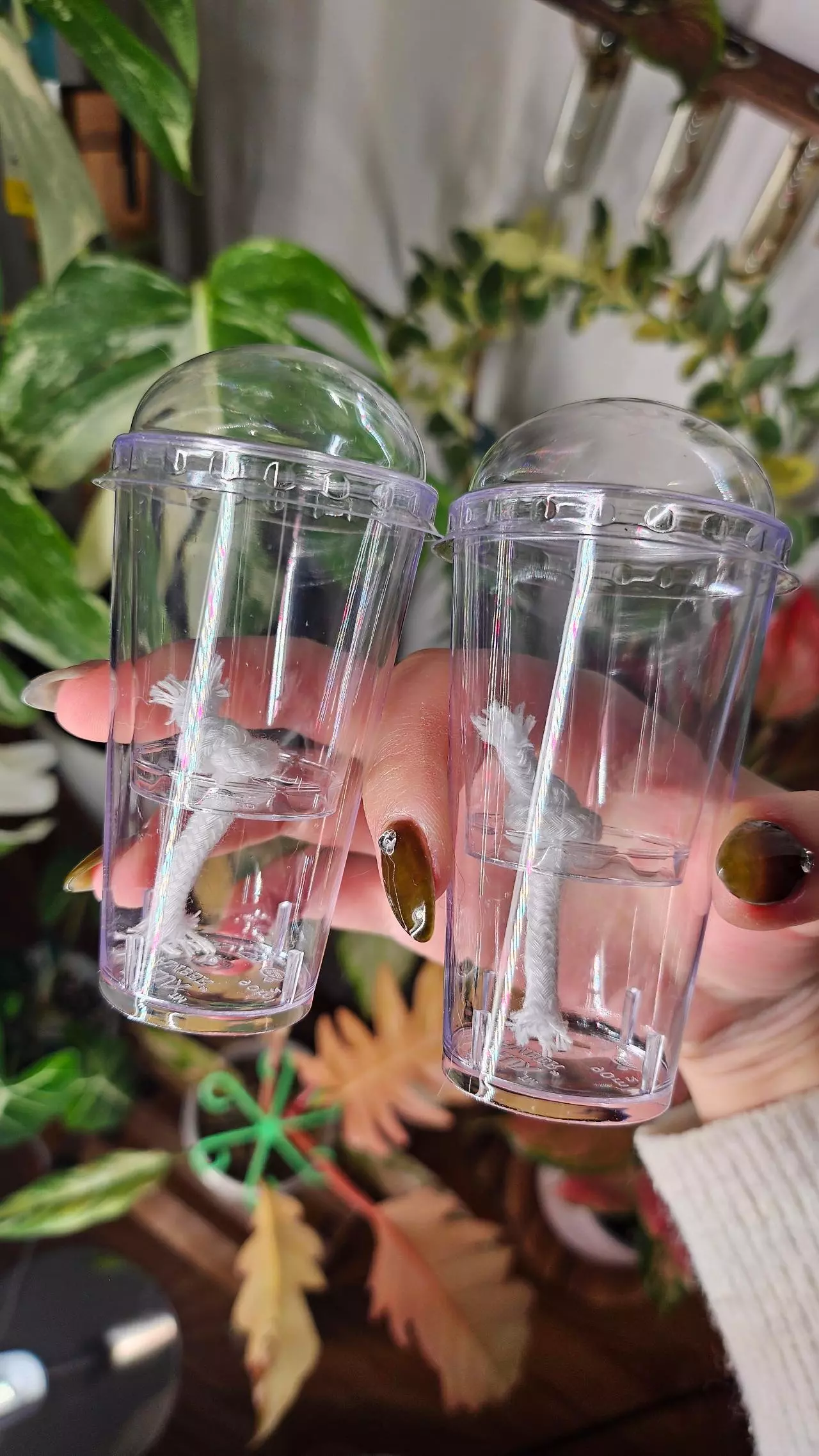 plant/3 self watering corm cups-1