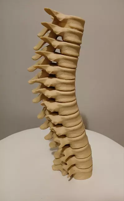 plant/Radiology/Halloween/Harry Potter Spine Candle Holder-2-thumbnail