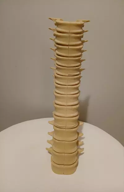 plant/Radiology/Halloween/Harry Potter Spine Candle Holder-3-thumbnail