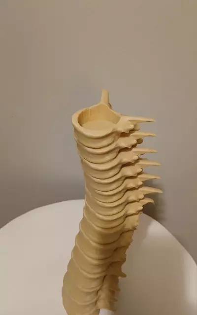 plant/Radiology/Halloween/Harry Potter Spine Candle Holder-4-thumbnail