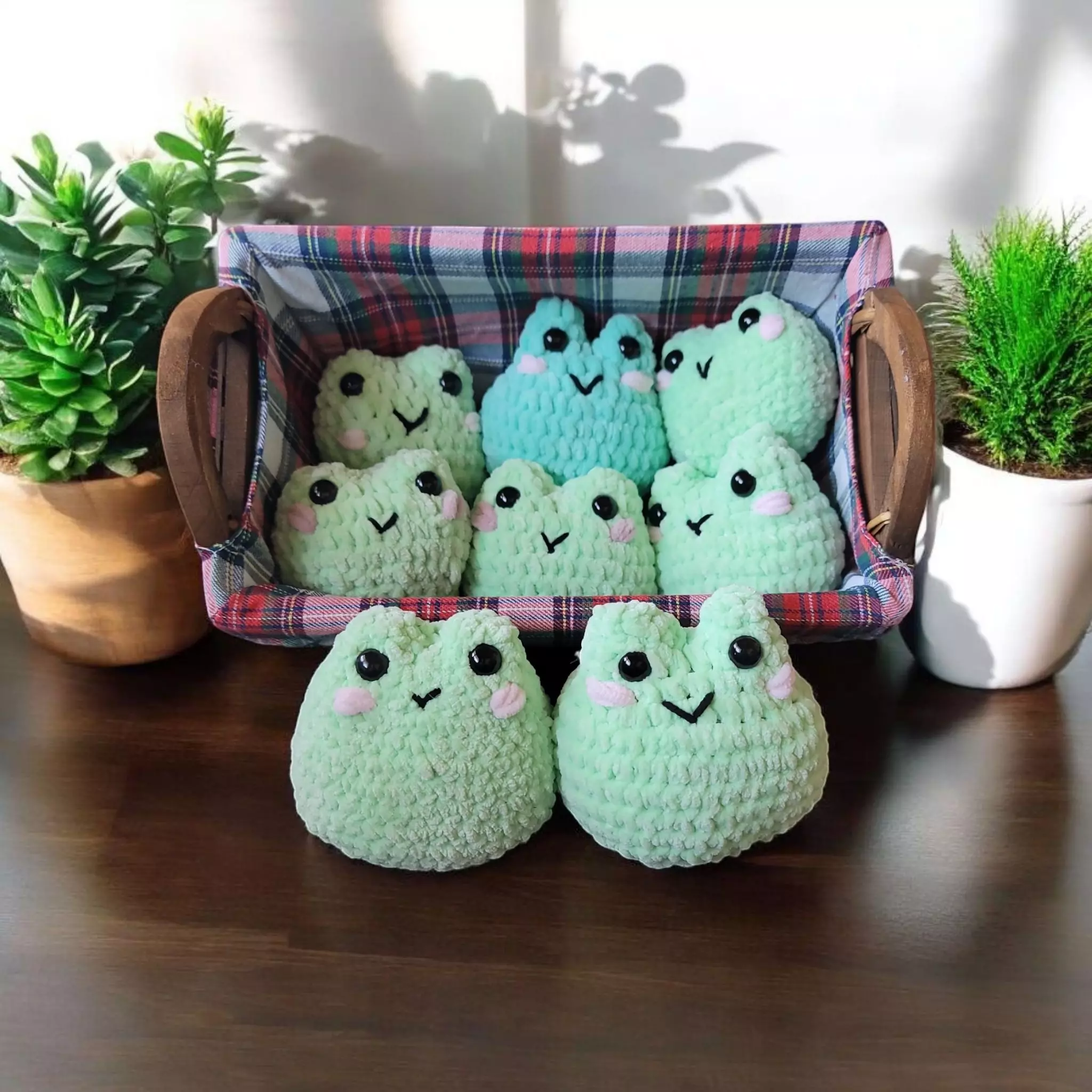 plant/Mini Froggos-0
