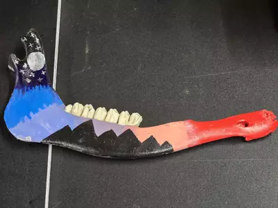 plant/Hand painted jaw bone-0-thumbnail