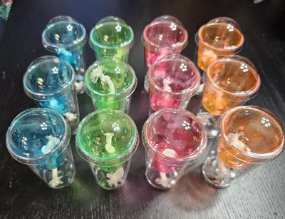 plant/12 Corm Cups-0-thumbnail