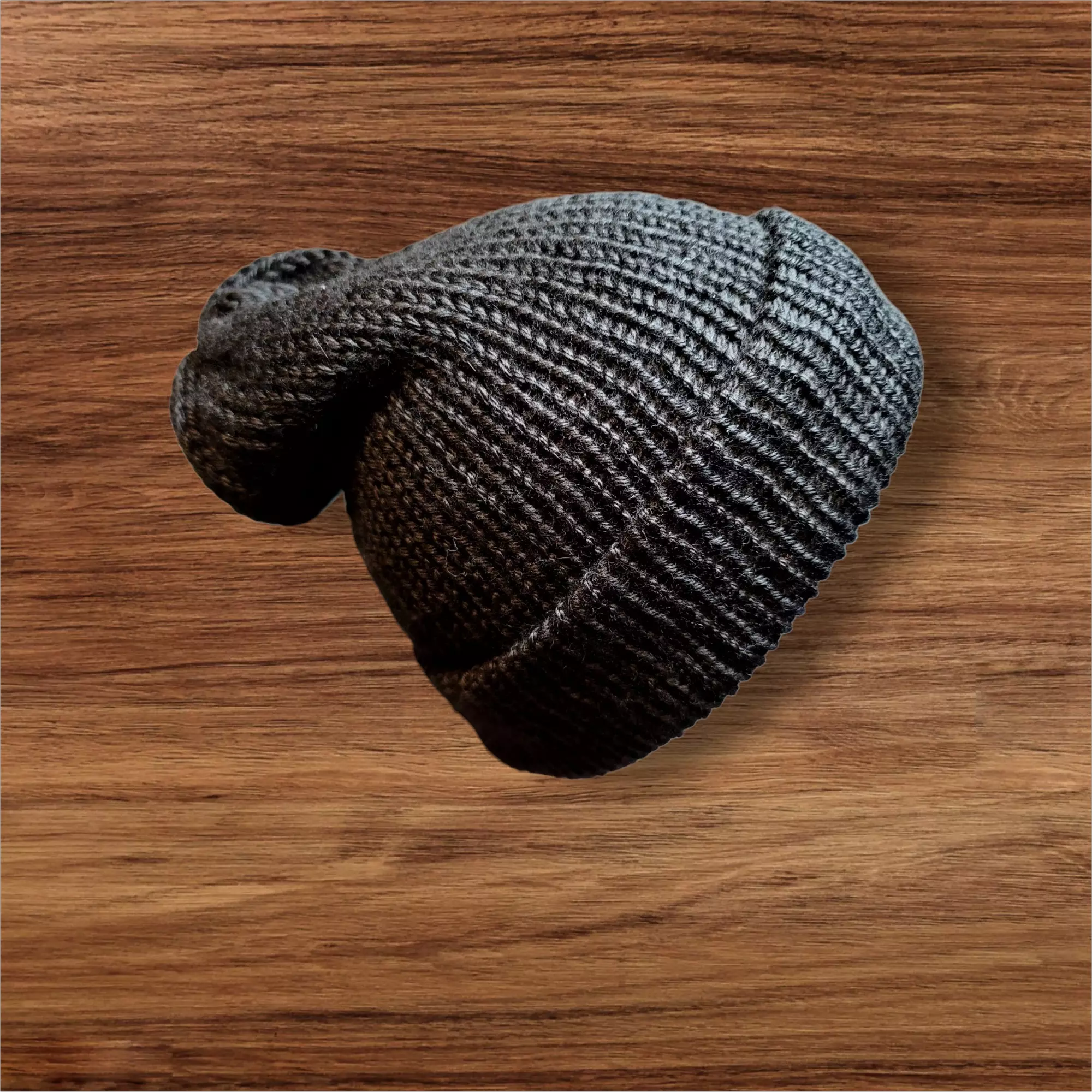 plant/Black Reg. Hat (child/adult)-0