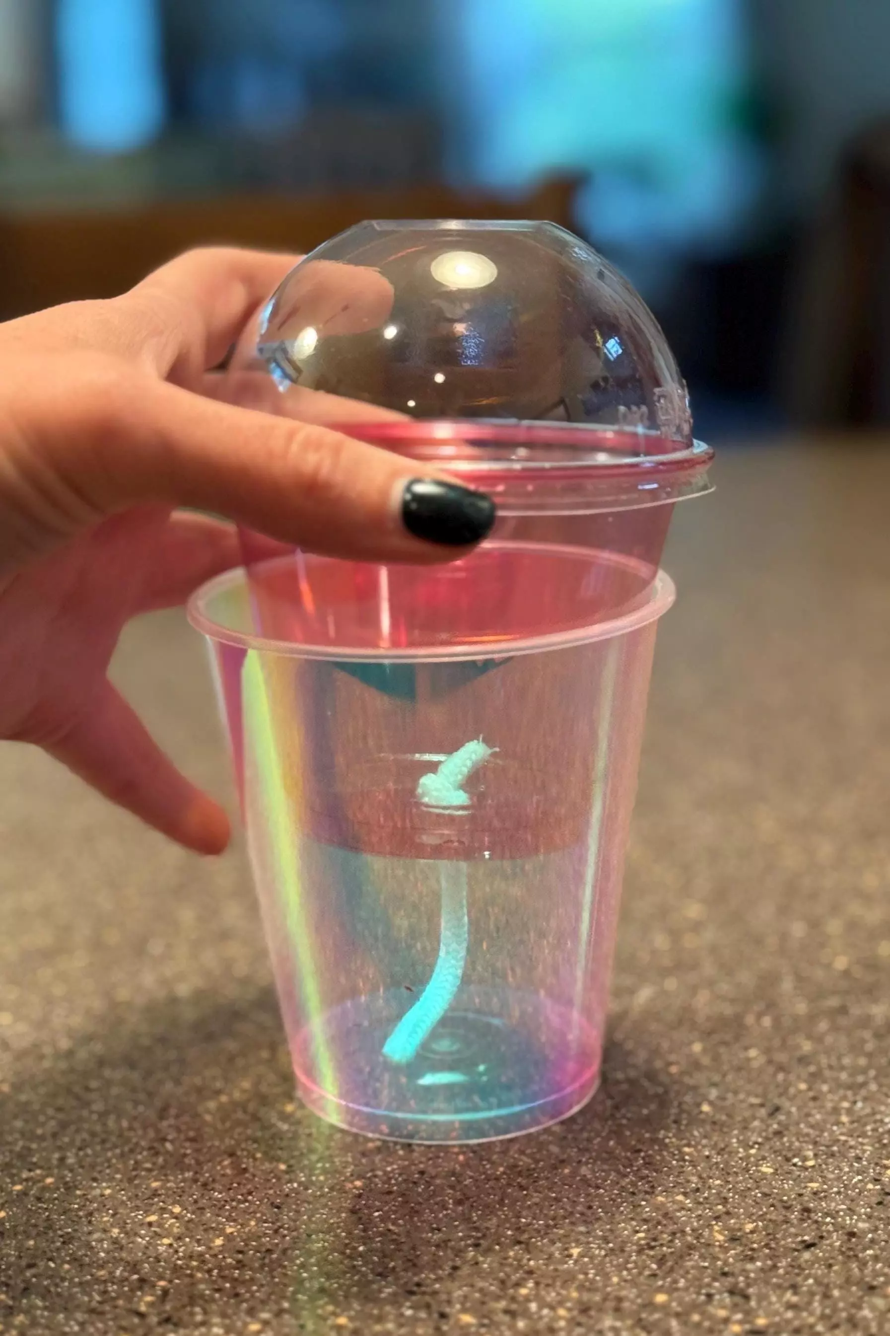 plant/Self-Watering Cup for Corms and Tissue Cultures - IRIDESCENT *Customized Labels Included-0