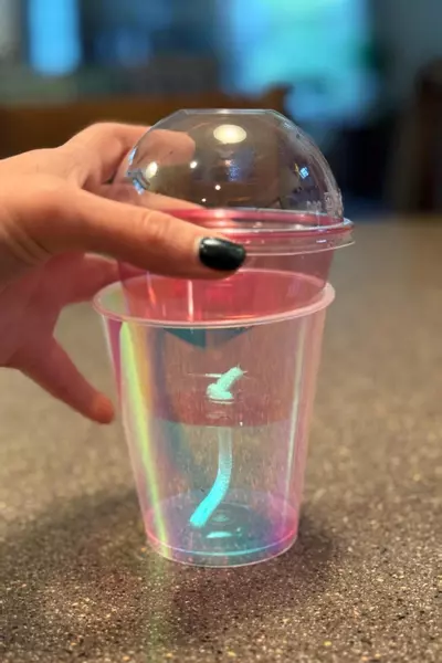 plant/Self-Watering Cup for Corms and Tissue Cultures - IRIDESCENT *Customized Labels Included-0-thumbnail