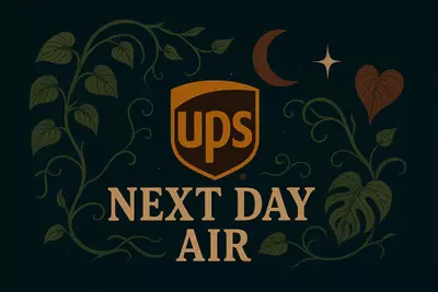 plant/UPS Next Day Air Shipping Upgrade-0-thumbnail