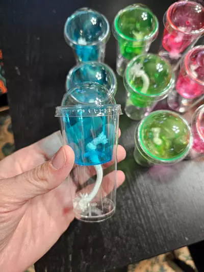 plant/12 Corm Cups-2-thumbnail