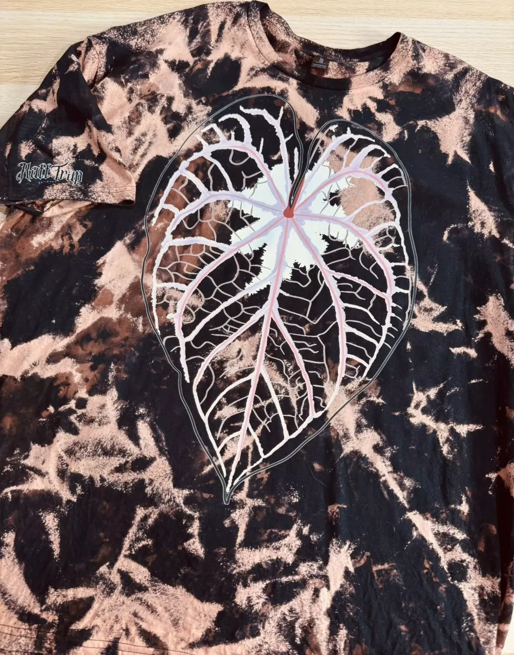 plant/2xl - Black Bleached October only Glow ghost anthurium - Ready to ship-0