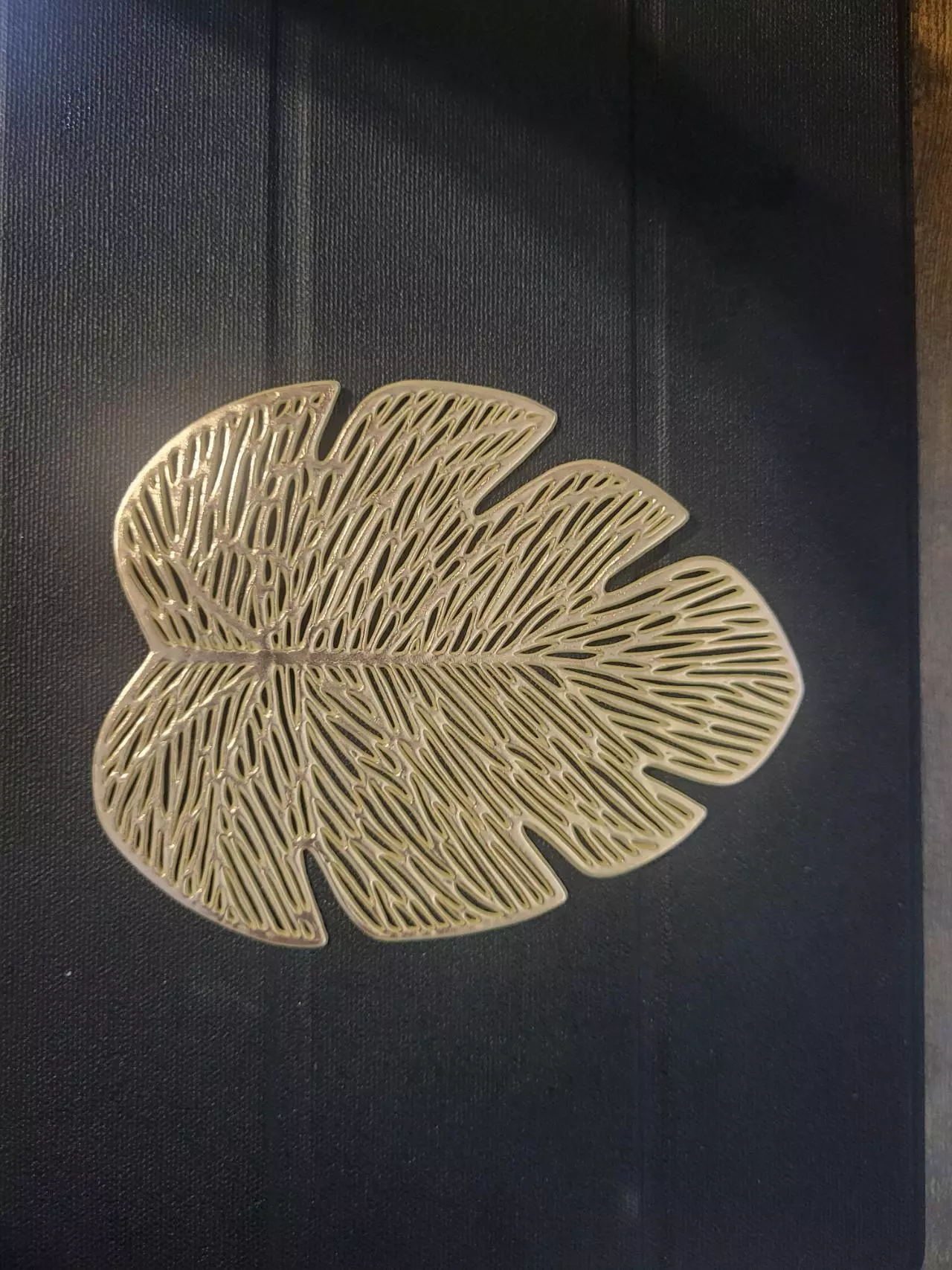 plant/Set of 6 rubbery monstera coasters-0