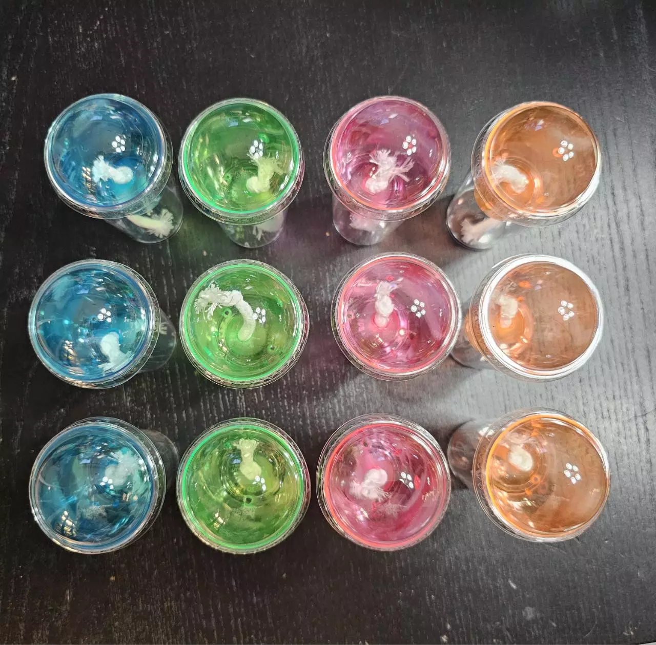 plant/12 Corm Cups-1