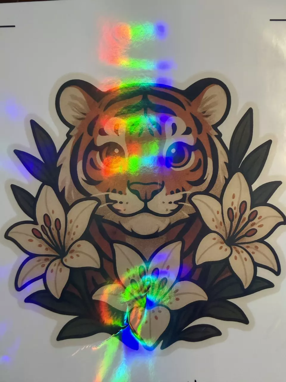free_shipping/Rainbow Holo Laminate | FOR STICKERS & MAGNETS-0