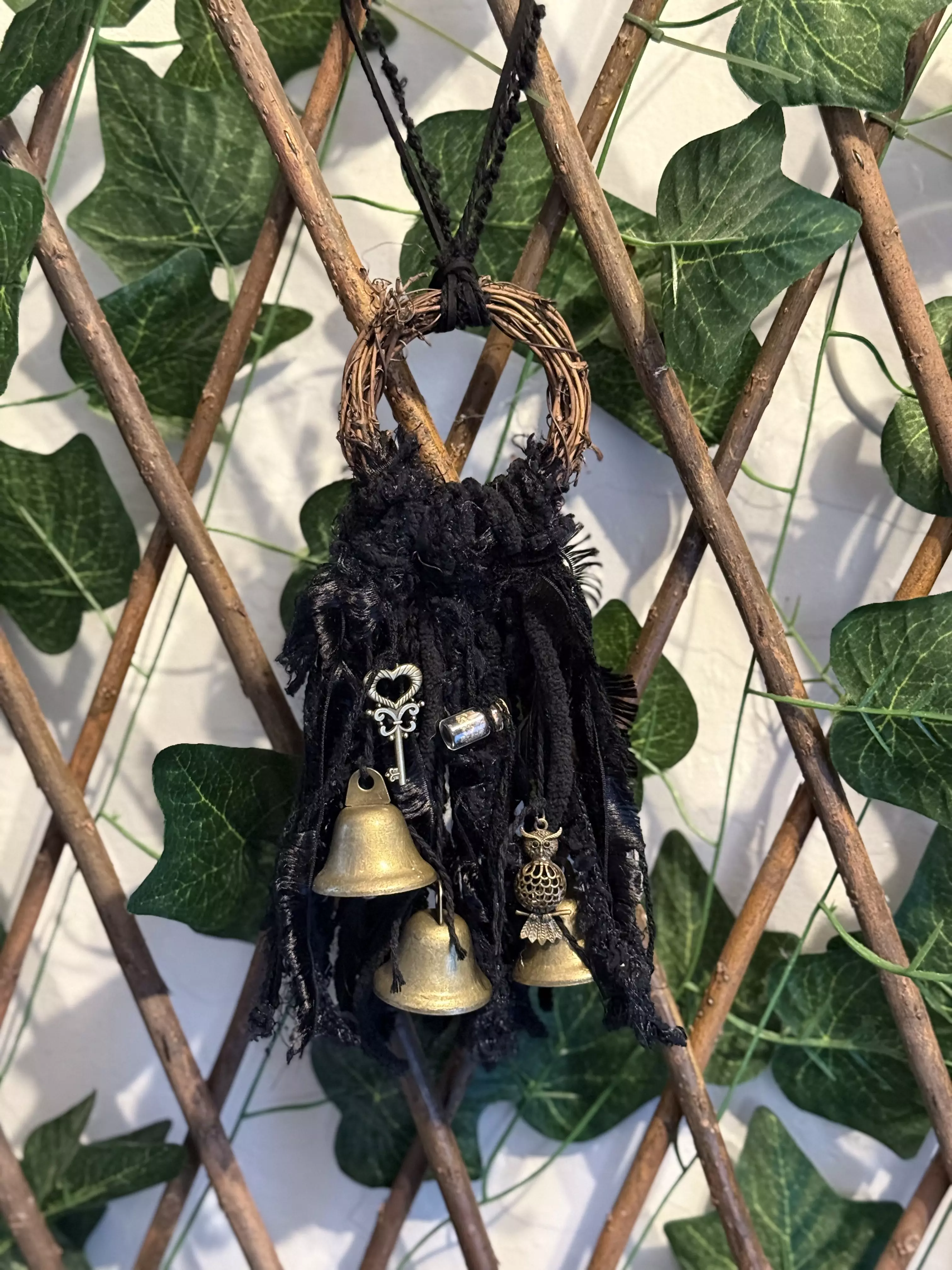 plant/Black witch bells -0