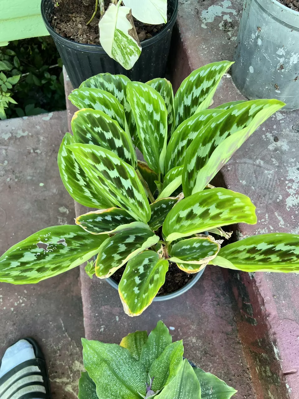 plant/KAJ UPS upgrade-0